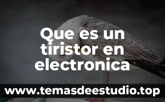 Qué es la basura electrónica el símbolo 8 Que es un tiristor en electronica