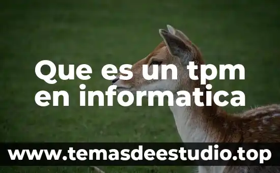 Que es un tpm en informatica