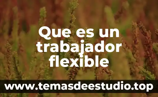 Que es disco flexible significado 5 Que es un trabajador flexible