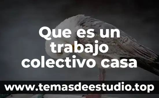 La casa de la cultura puebla que es 5 Que es un trabajo colectivo casa