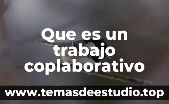 Que es un trabajo coplaborativo