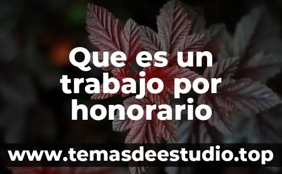 Qué es la sociedad de trabajo 4 Que es un trabajo por honorario
