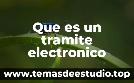 Por que es importante el correo electronico 3 Que es un tramite electronico