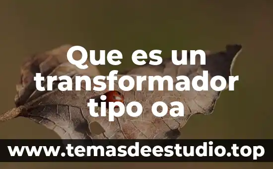 Sabes que es verdad 5 Que es un transformador tipo oa