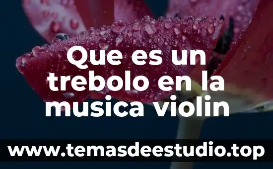 Cual y que es el procesos creador de la música 8 Que es un trebolo en la musica violin