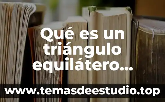 Que es carmines diccionario 8 Qué es un triángulo equilátero diccionario