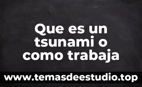 Qué es la geografía y qué trabaja 3 Que es un tsunami o como trabaja