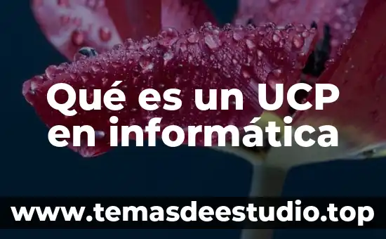 Que es el pensamiento lateral informatica 8 Qué es un UCP en informática
