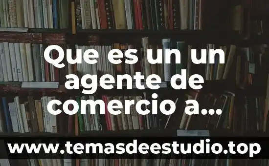 Que es un un agente de comercio a domicilio