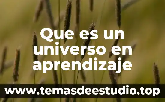 Que es la fisica y el conocimiento del universo 3 Que es un universo en aprendizaje