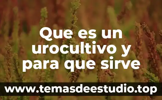 Que es el ayuno y para que sirve 4 Que es un urocultivo y para que sirve