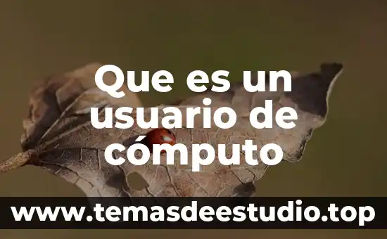Welfare System que es 5 Que es un usuario de cómputo