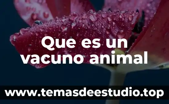 Qué es zoología animal 3 Que es un vacuno animal