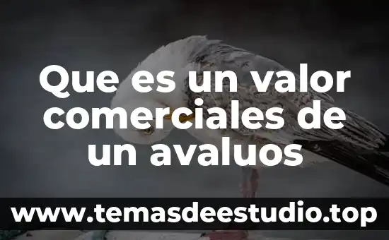 Que es el valor de la libertad 5 Que es un valor comerciales de un avaluos
