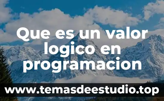 Qué es el pensamiento lógico matemático según Piaget 3 Que es un valor logico en programacion