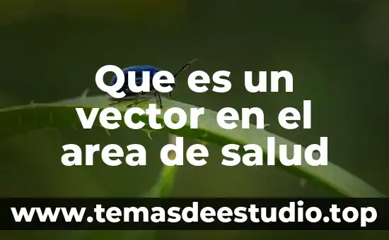 Que es vector compuesto yahoo 7 Que es un vector en el area de salud