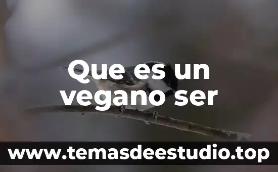 Que es ser sedentario significado 7 Que es un vegano ser