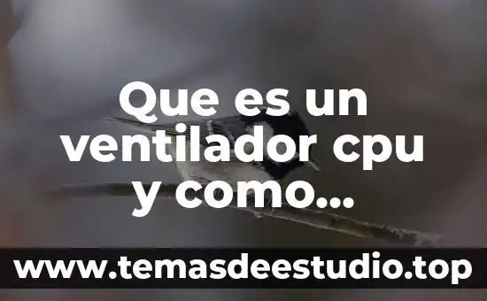 Que es un ventilador cpu y como funciona