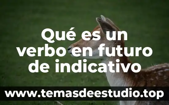 Qué es un verbo en futuro de indicativo