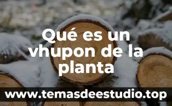 Qué es una hoja de planta 4 Qué es un vhupon de la planta