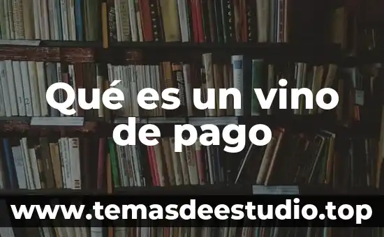 Qué es un vino de pago