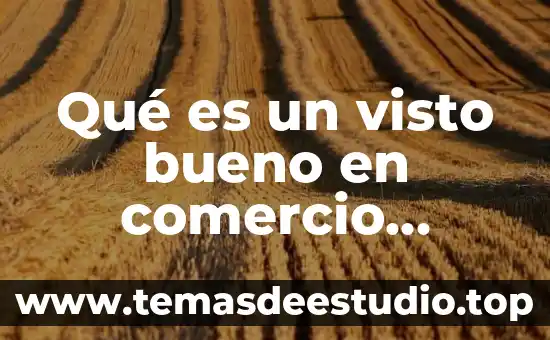 Que es bueno para la circulación del cerebro 5 Qué es un visto bueno en comercio exterior
