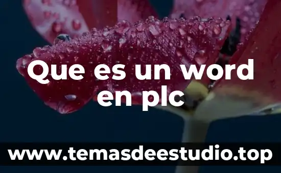 Que es una planta en plc 3 Que es un word en plc