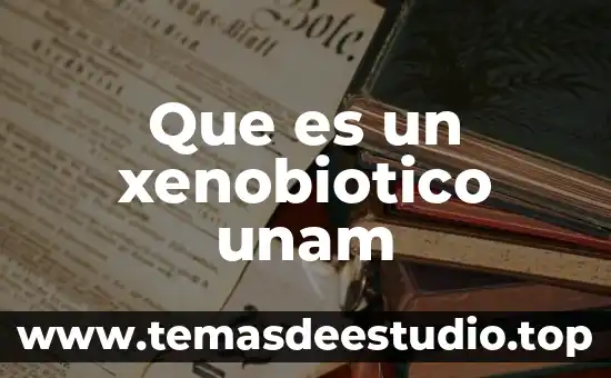 Que es un plan de estudio por areas de conocimiento 8 Que es un xenobiotico unam