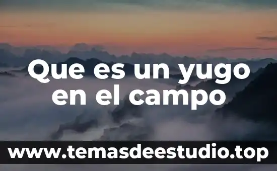 Que es el campo petrolero o planta refinería de petroleo 4 Que es un yugo en el campo