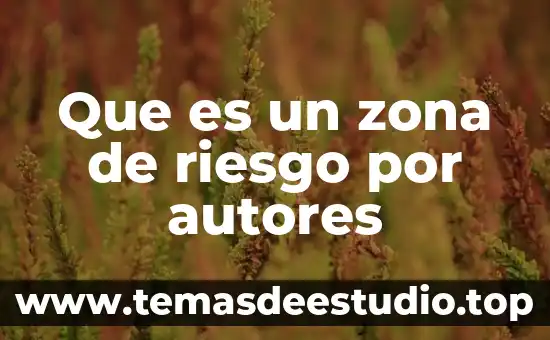 Que es identidad personal segun autores 5 Que es un zona de riesgo por autores