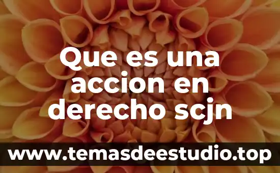 Que es la accion orexigenica 8 Que es una accion en derecho scjn
