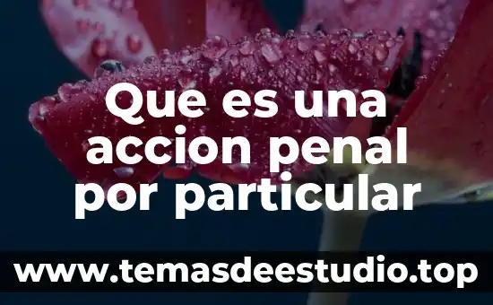Que es una accion penal por particular