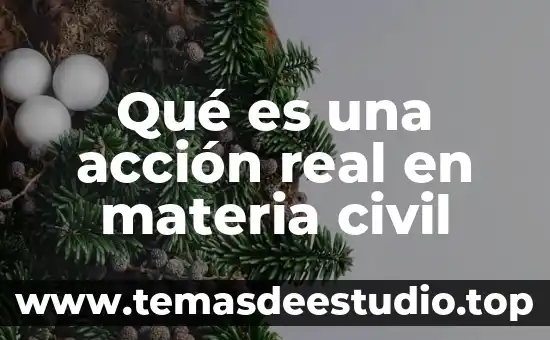 Qué es una acción real en materia civil