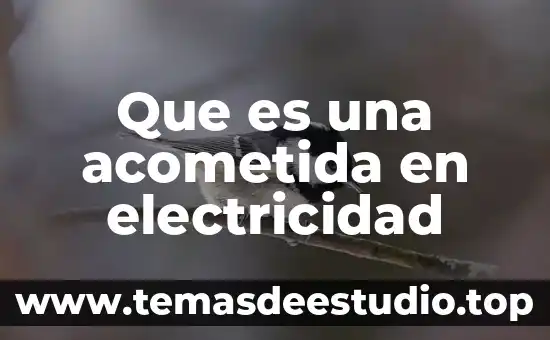 Que es electricidad estatica en manejo de computo 4 Que es una acometida en electricidad
