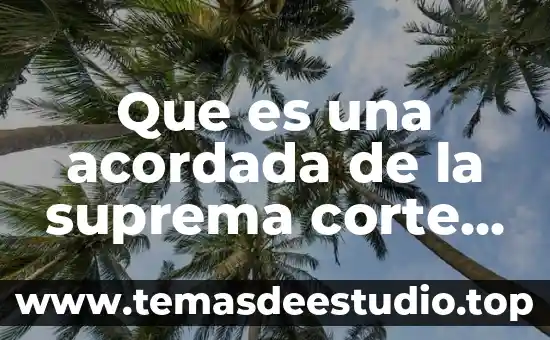 Que es el principio pro persona suprema corte de justicia 8 Que es una acordada de la suprema corte de justicia