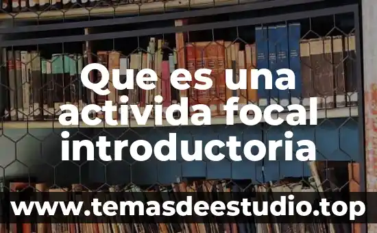Que es una activida focal introductoria