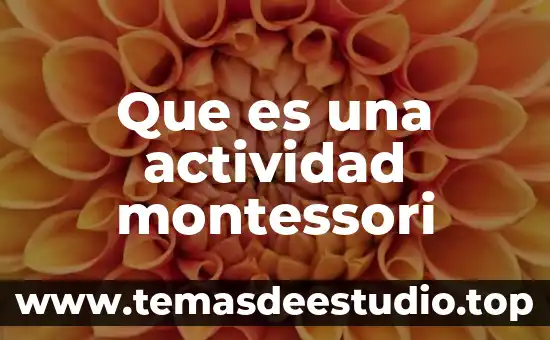 Que es una actividad montessori