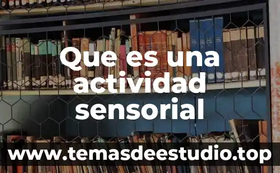 Que es una actividad sensorial