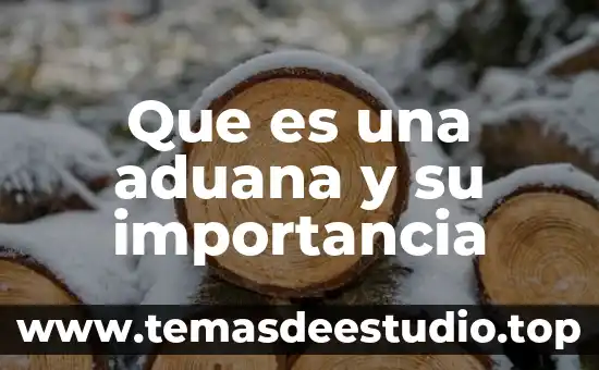Por que es importante conocer el significado de la aduana 3 Que es una aduana y su importancia