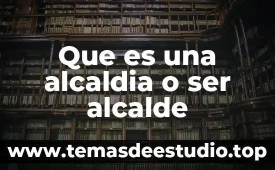 Que es ser largo 3 Que es una alcaldia o ser alcalde