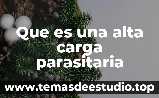 Que es carga en maquinaria pesada 4 Que es una alta carga parasitaria