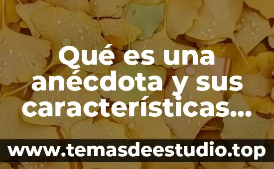 Macroeconomia que es cuentas principales y sus definiciones 6 Qué es una anécdota y sus características principales