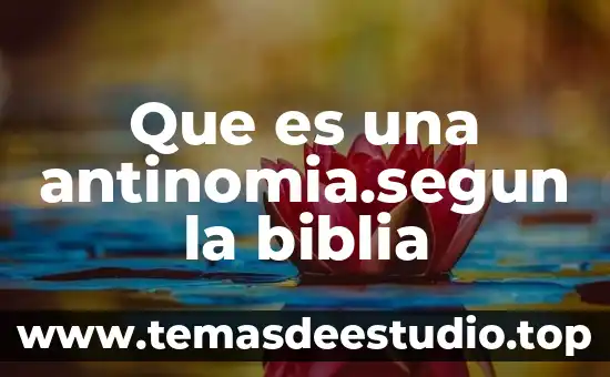Que es la biblia para niños presentacion 3 Que es una antinomia.segun la biblia