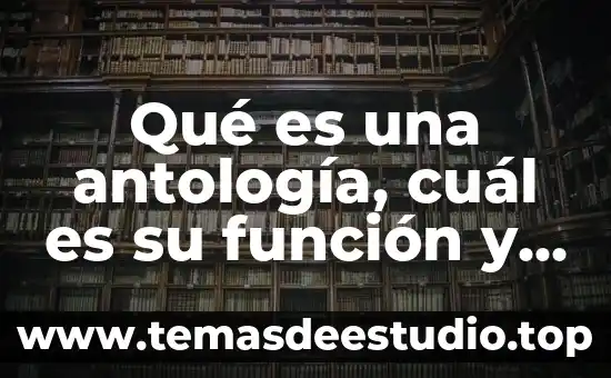 Que es diferenciacion y cual es su concepto 5 Qué es una antología, cuál es su función y estructura