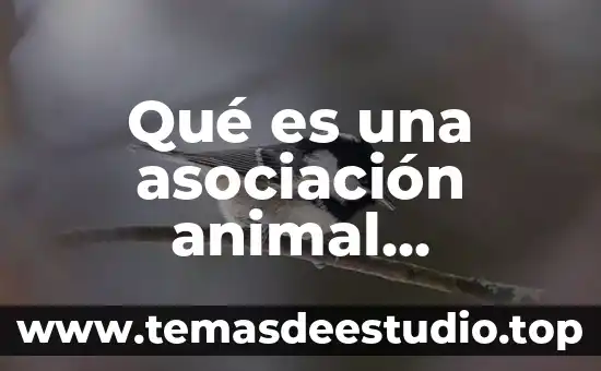 Asociación mexicana de diabetes que es la diabetes 5 Qué es una asociación animal gubernamental