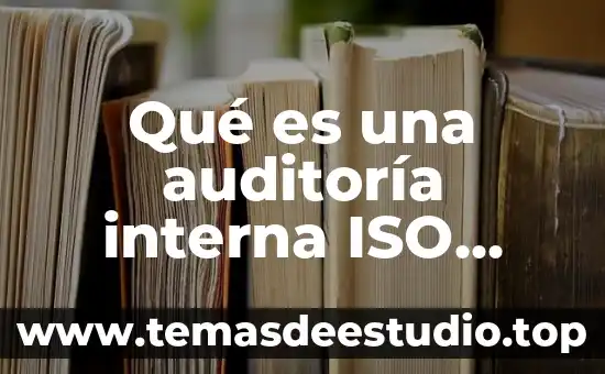 Qué es una auditoría interna ISO 9001