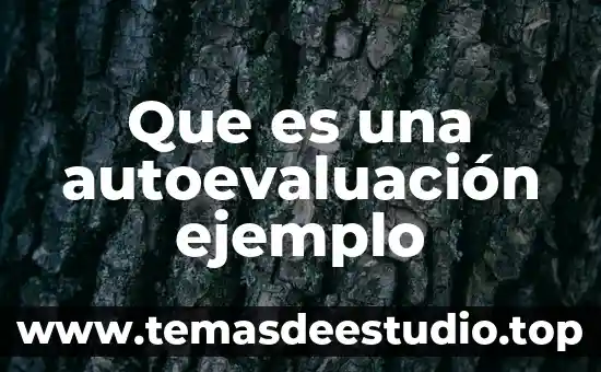 Que es una autoevaluación ejemplo
