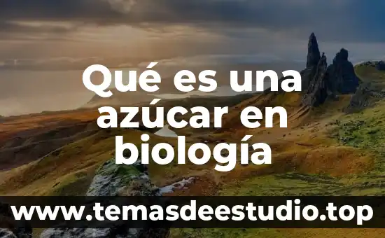 Que es tropismo en biologia 4 Qué es una azúcar en biología