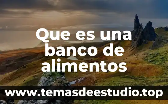Qué es el banco de alimentos y cómo funciona 8 Que es una banco de alimentos