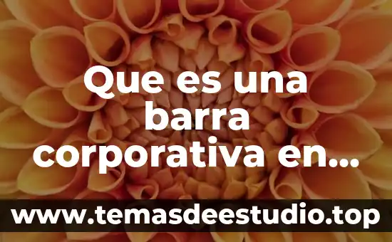 Que es una barra corporativa en una pagina web